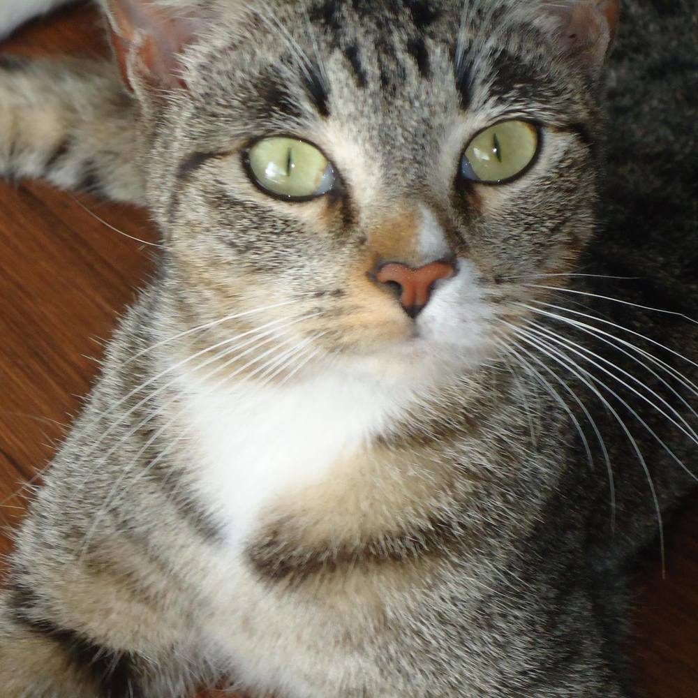 Meet your Posher, Sandy